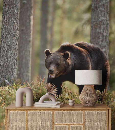 Image de Brown bear in the summer forest natural habitat