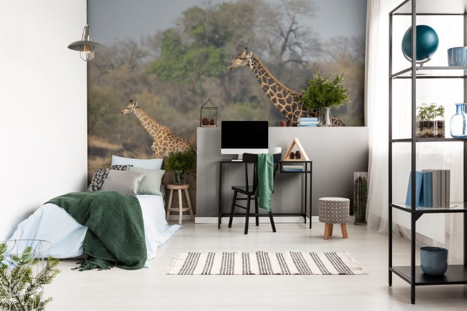 Image de Giraffe in the Timbavati