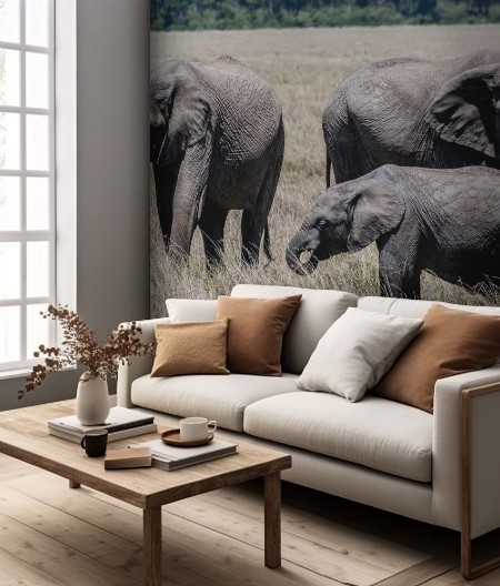 Picture of African elephant family feeding dry grass in Maasai Mara