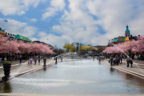 Picture of Spring in the city
