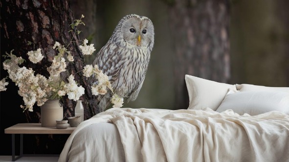 Image de Ural owl Strix uralensis is a medium-sized nocturnal owl of the genus Strix with up to 15 subspecies found in Europe and northern Asia 