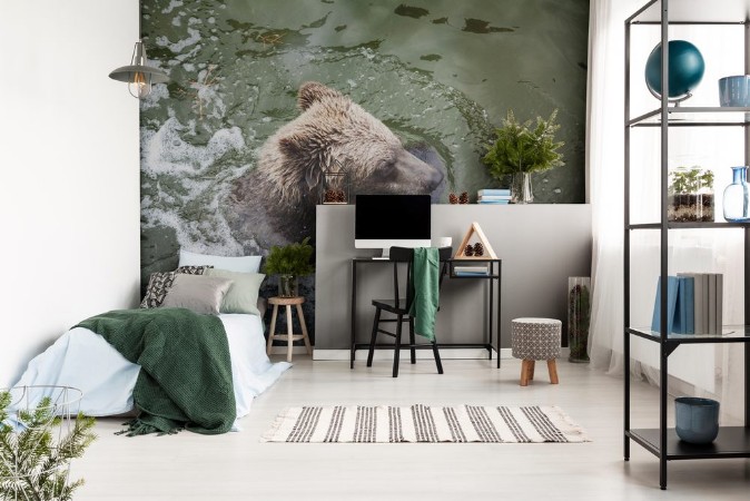 Image de Brown bear floats in water