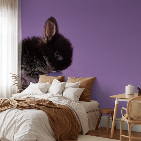 Afbeeldingen van Easter bunny rabbit with egg on purple background