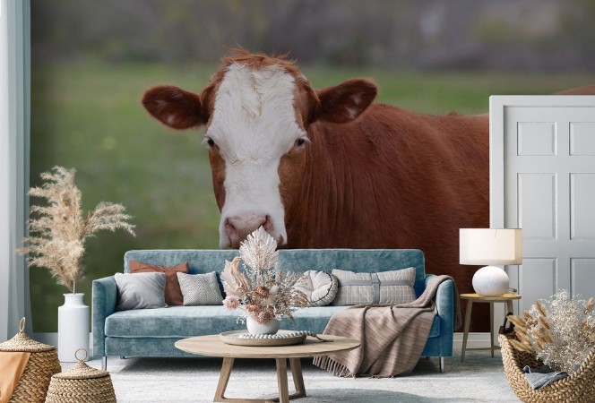 Picture of Farming Ranch Angus and Hereford Cattle