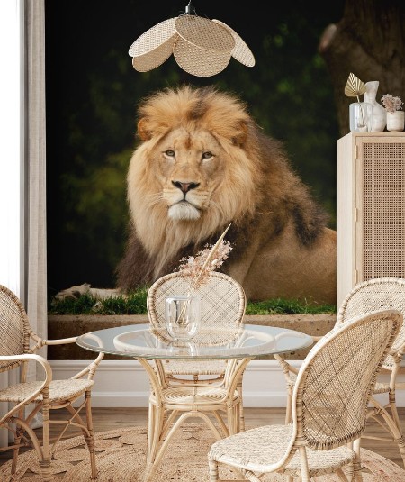 Picture of Lion