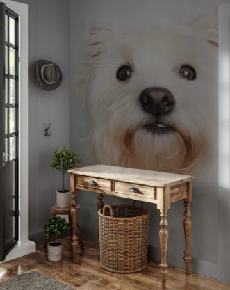 Afbeeldingen van A West highland white terrier Dog Isolated on White Background in studio
