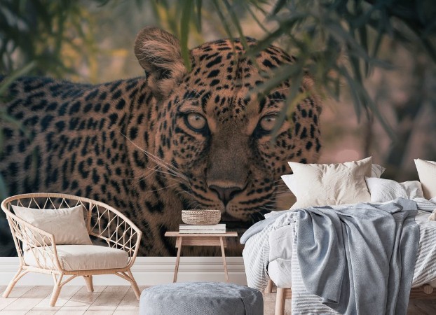 Picture of Leopard in a tree