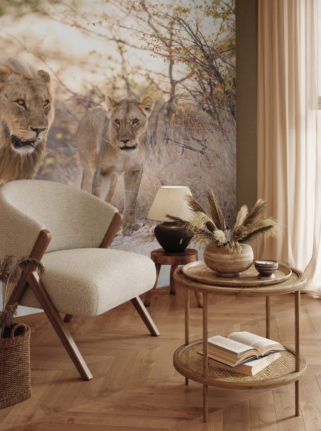 Image de Lions mating couple in Etosha National Park in Namibia