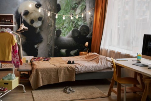 Afbeeldingen van Giant panda
