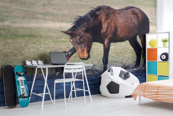 Image de Wild brown horse play at water