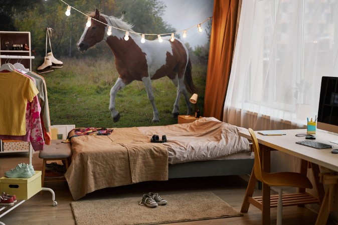 Image de The skewbald pony running a trot on a meadow