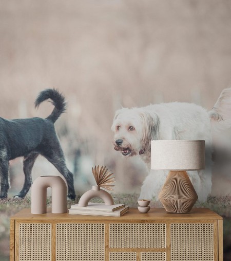 Image de Happy adopted dog playing in the garden 