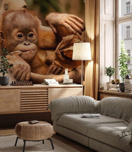 Image de Orang-Utan