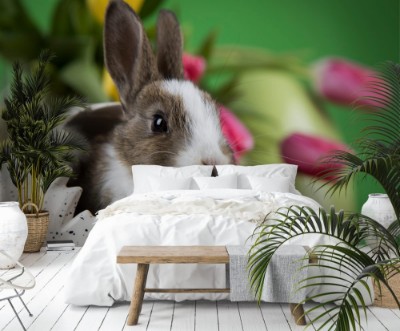 Afbeeldingen van Little Bunny with easter eggs in flower