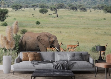 Picture of Elephant and Gazelle