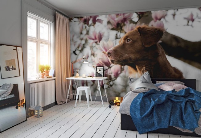 Picture of Hund und Magnolie