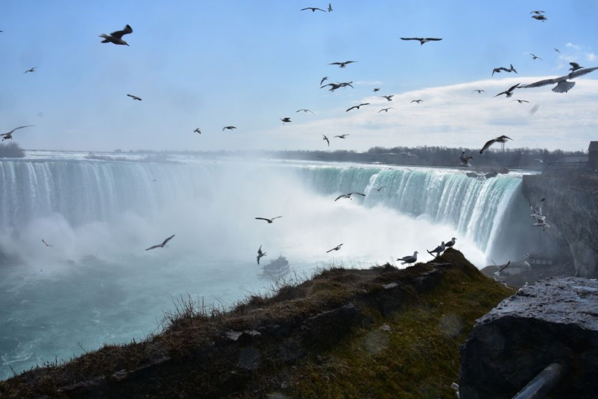 Picture of Birds at the falls 