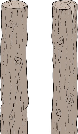 Afbeeldingen van Wooden trunk cylinder