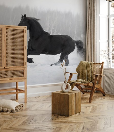 Bild på Black friesian horse with the mane flutters on wind running gallop on the snow-covered field in the winter background