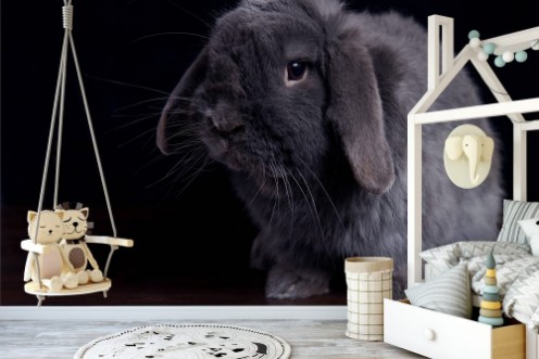 Bild på Big gray rabbit on a dark wooden background