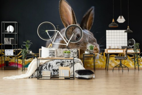 Bild på Easter bunny rabbit on the black background Easter holiday concept Cute rabbit in hay near dyed eggs  Adorable baby rabbit  Spring and Easter decoration Cute fluffy rabbit and painted eggs