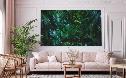 Image de Tropical palm leaves