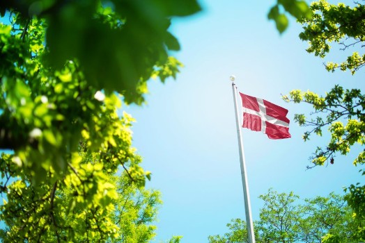 Bild på Denmark flag Danish flag waving in the wind between trees