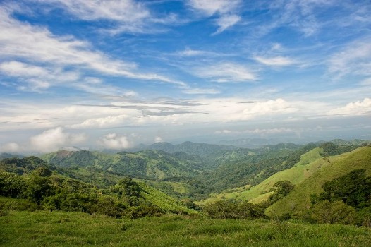 Picture of Costa rica coffee mountains