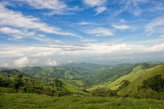 Picture of Costa rica coffee mountains