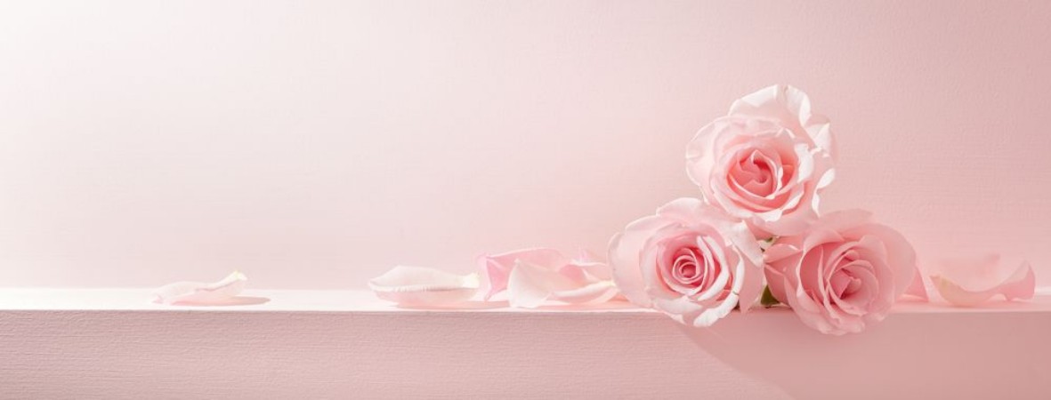 Bild på Pink rose petals set on pastel pink background
