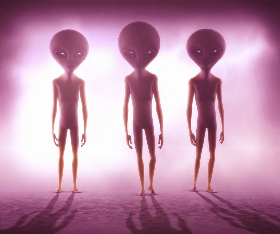 Picture of Humanoid