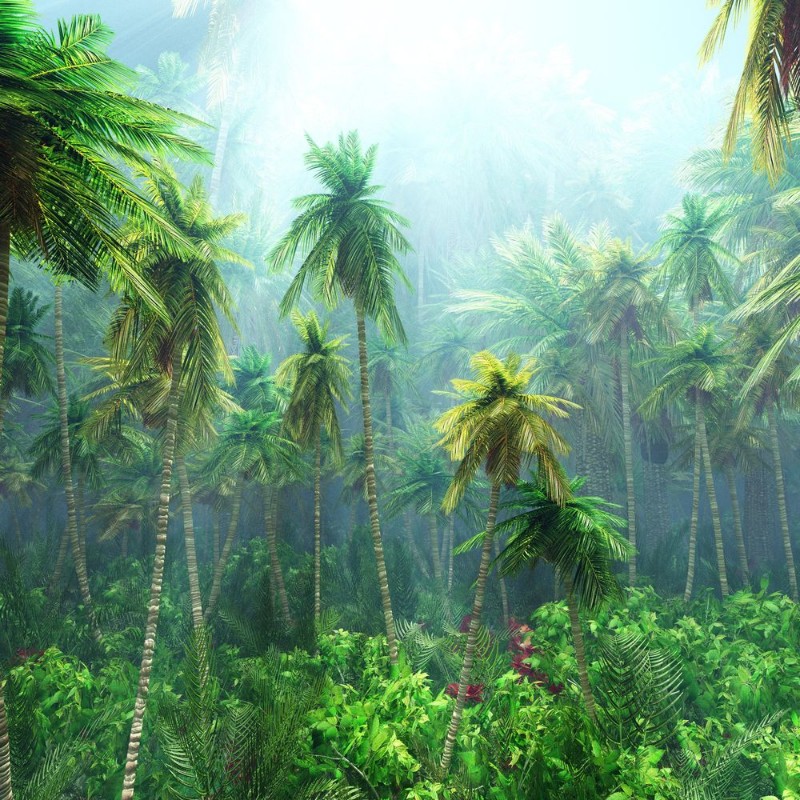 Image de Jungle beautiful rainforest in the fog palm trees in the haze jungle in the morning in the fog 3D rendering