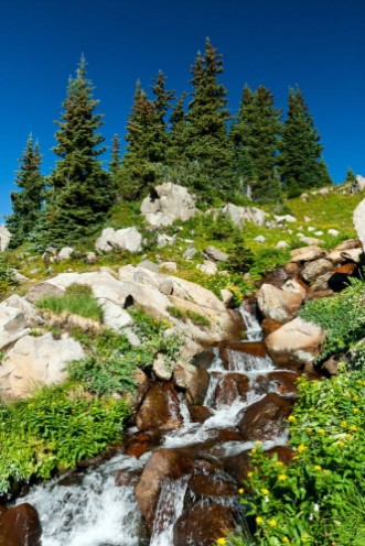 Picture of Waterfall and Wildflowers Landscape