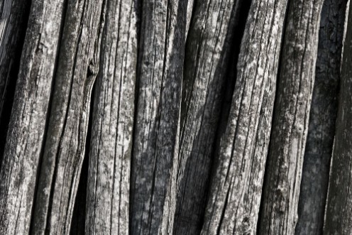 Bild på Vecchi pali della vigna tronchi texture