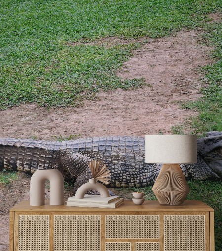 Bild på Crocodile