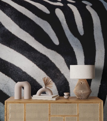 Bild på Zebra pattern