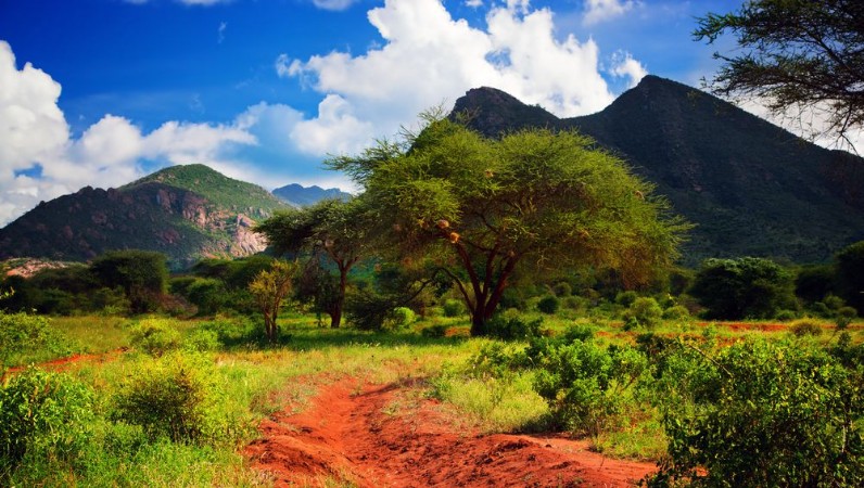 Bild på Red ground road bush with savanna Tsavo West Kenya Africa