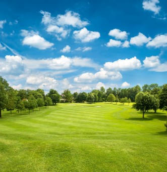 Afbeeldingen van Green golf field and blue cloudy sky