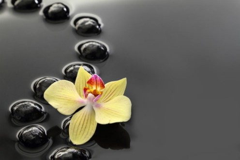 Bild på Black Zen stones and orchid on calm water background