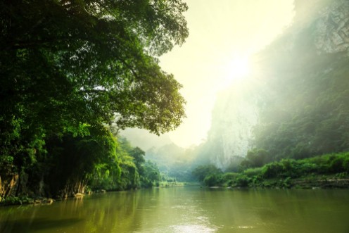 Image de Tropical river