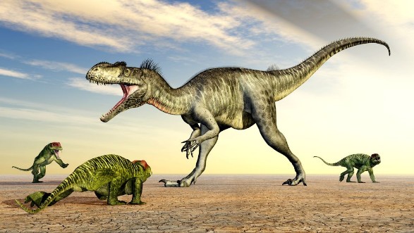 Image de Megalosaurus und Doliosauriscus
