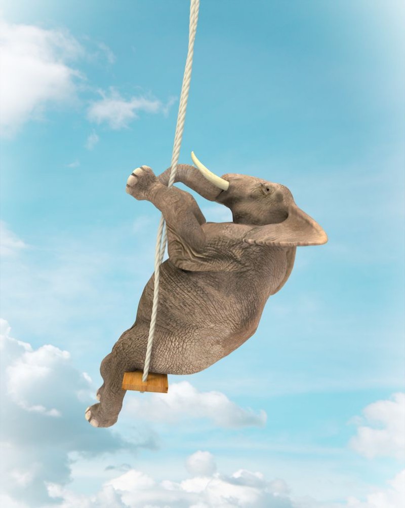 Bild von Elephant Swing