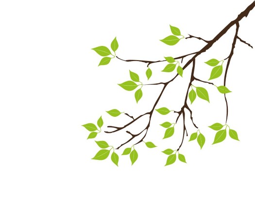 Afbeeldingen van Vector tree branch with green leaves