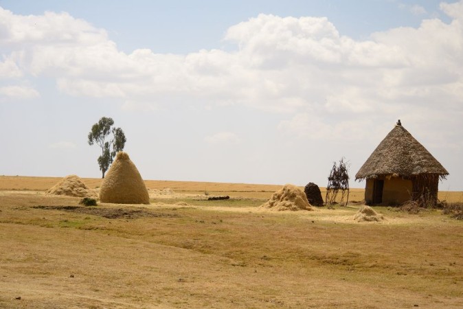 Bild på African rural life