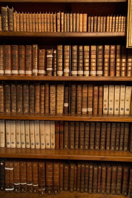 Picture of Livres dans une bibliothque