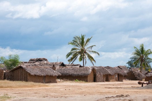 Picture of Village in tanzania - national park saadani