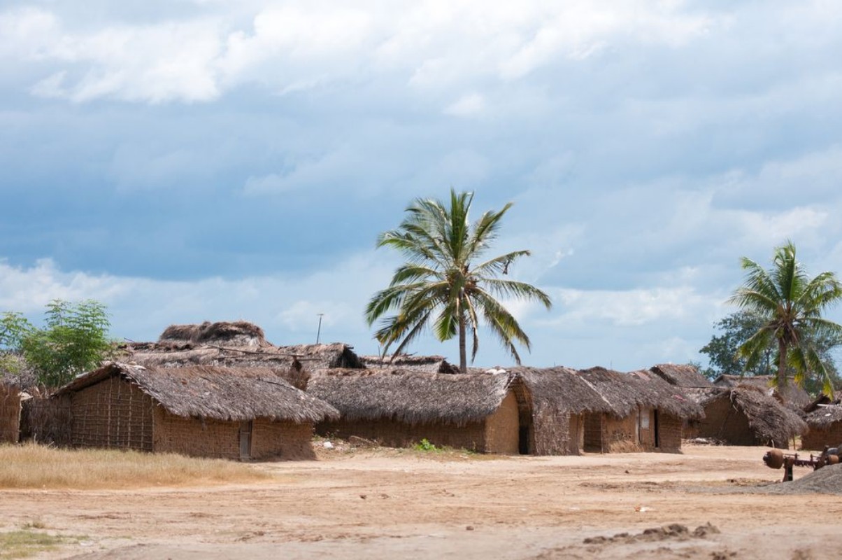 Afbeeldingen van Village in tanzania - national park saadani
