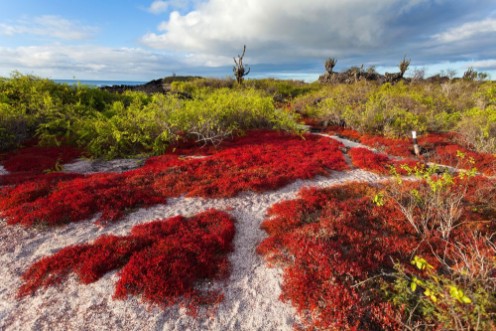 Image de Galapagos islands