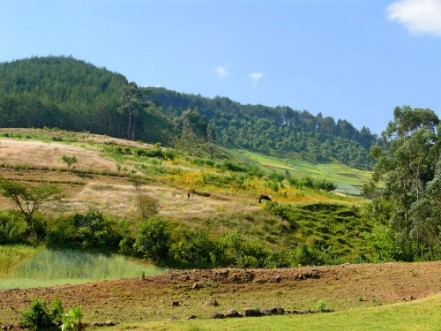 Bild på Africa Ethiopia Landscape of the African nature Mountains va