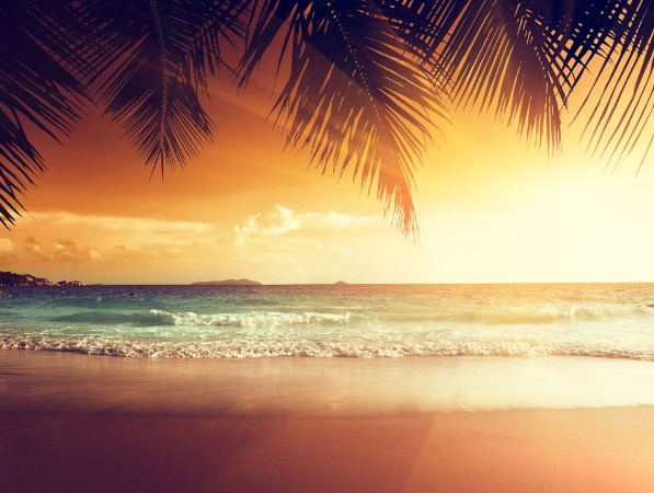 Sunset on the beach of caribbean sea photowallpaper Scandiwall